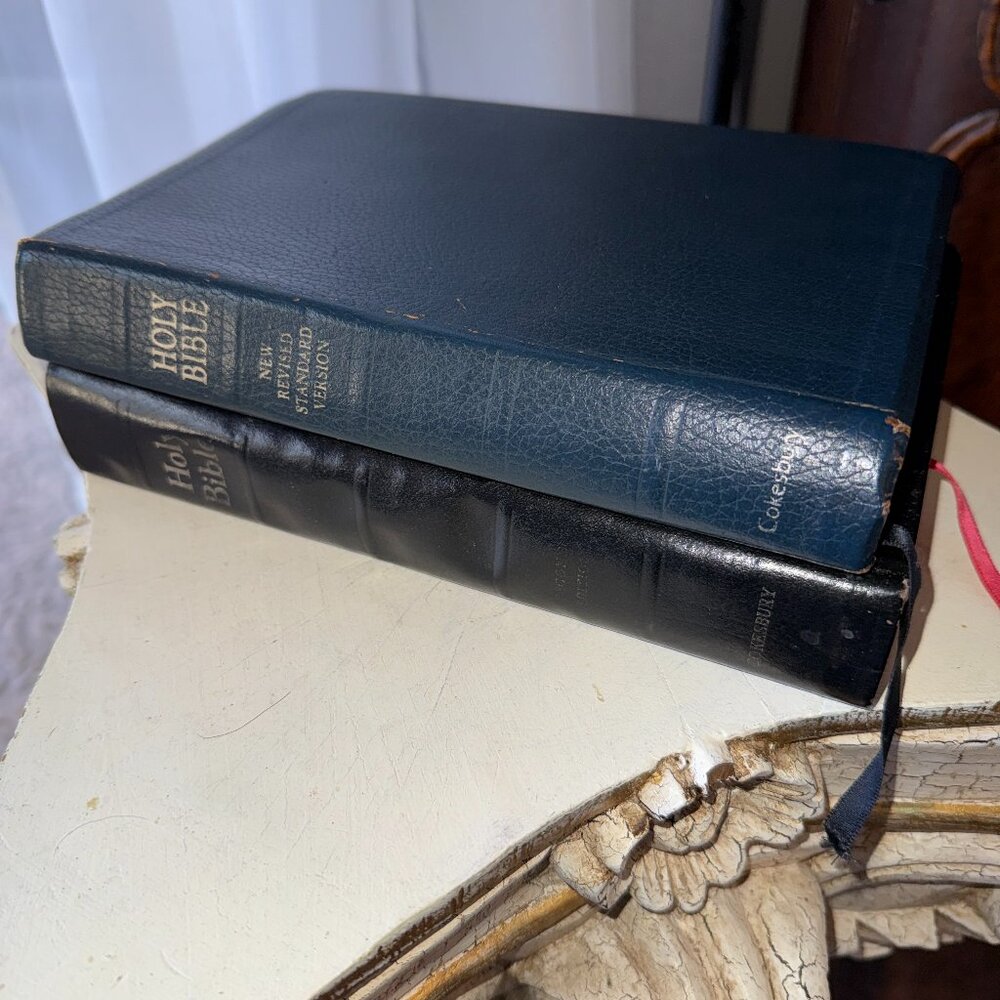 2 Bibles A Reader's Guide To The Holy Bible Revised Standard Version 1972 1989